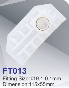 FT013