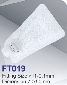 FT019