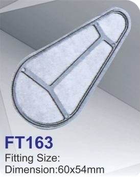 FT163